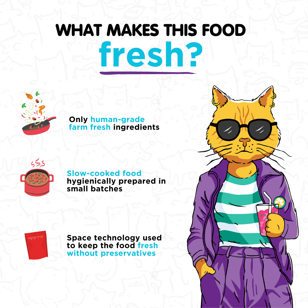 Mackerel in Chicken Fresh Meals for Cats (100g)