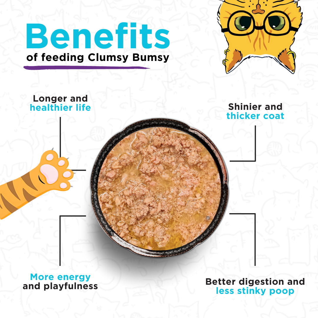 Mackerel in Chicken 100g for Cats