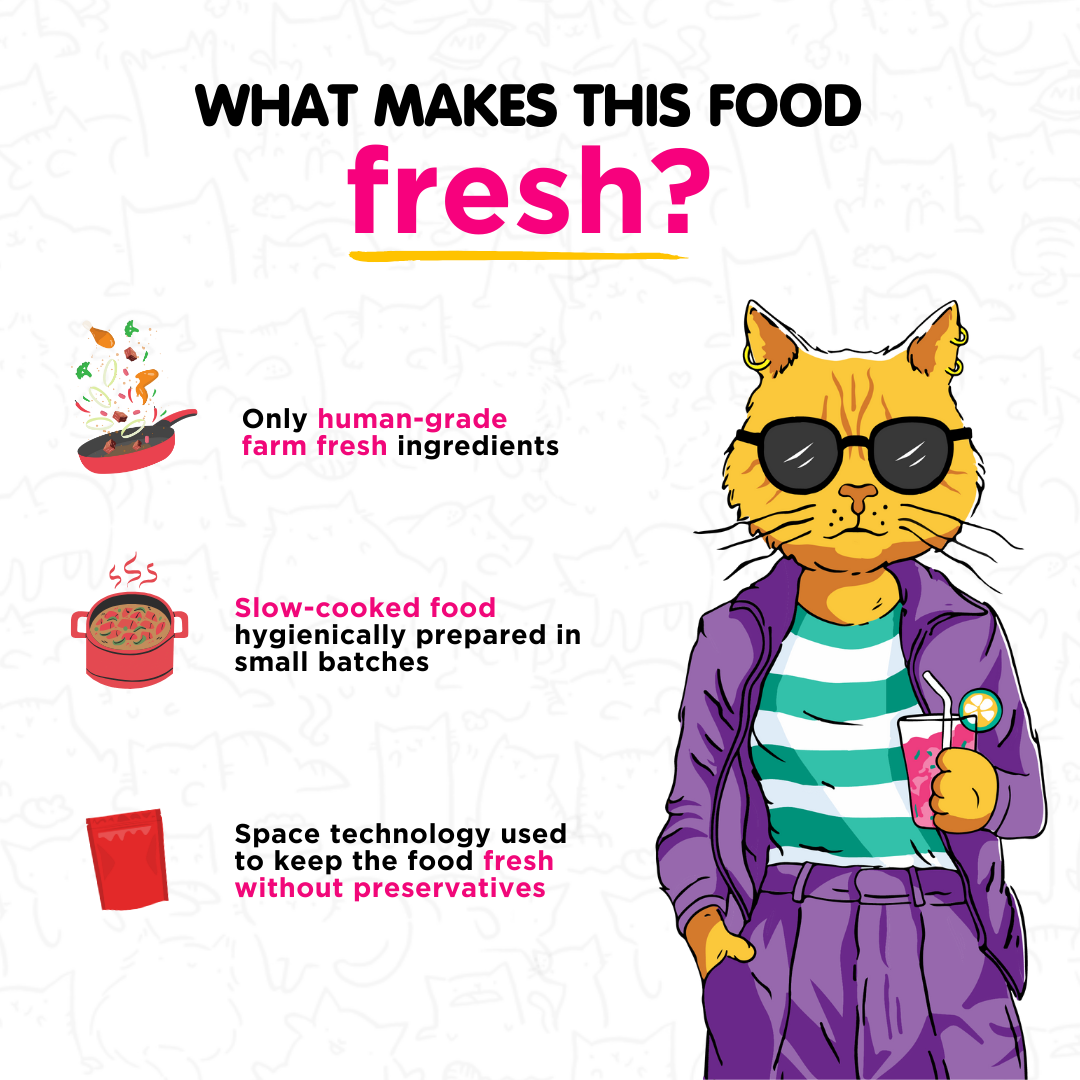 Tender Quail Fresh Meals for Cats (100g)