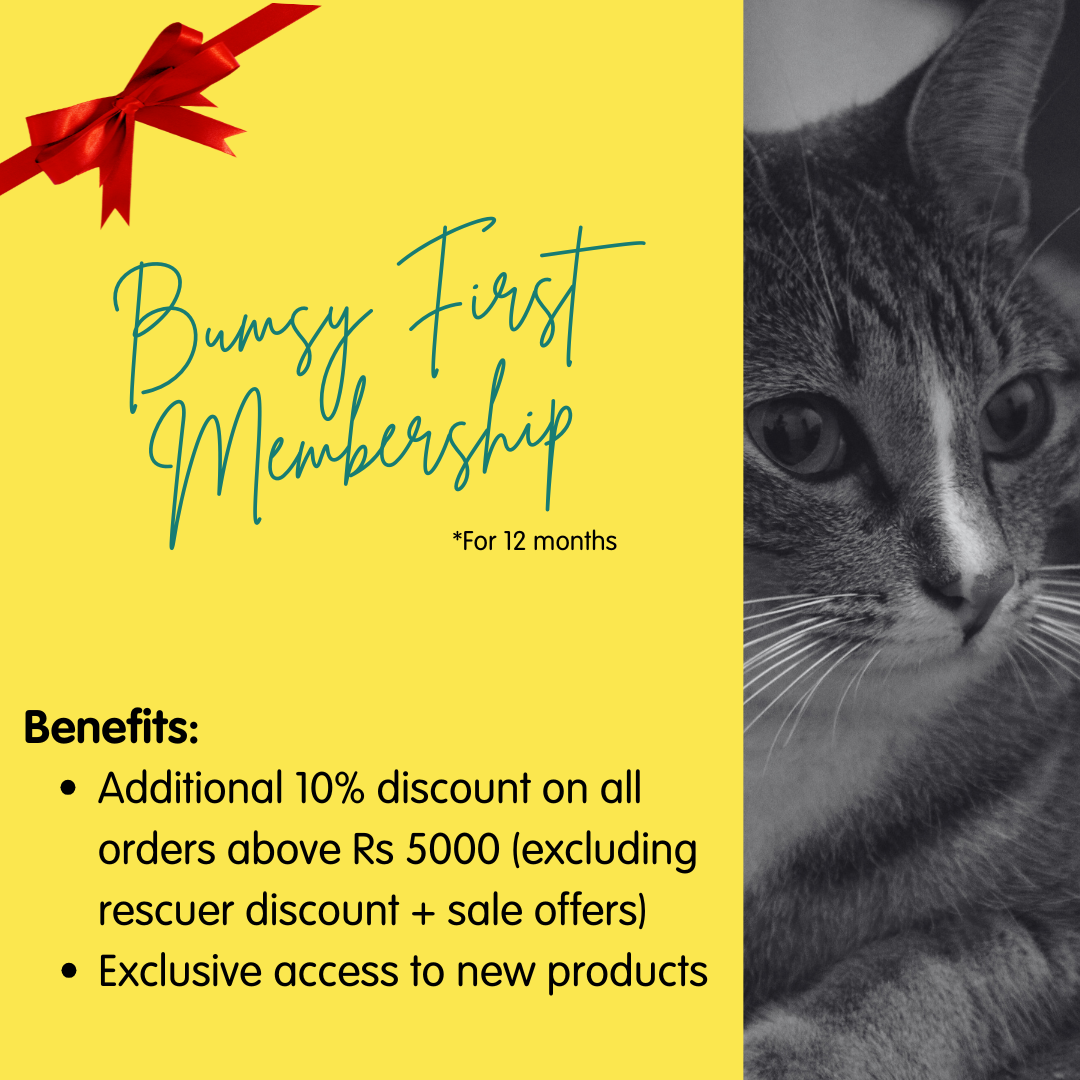 Bumsy First 12 Months Membership