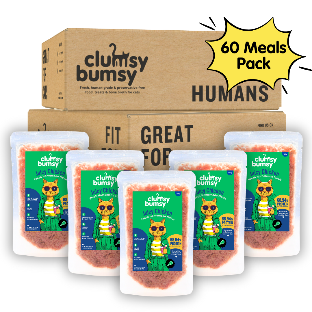 Juicy Chicken Fresh Meals for Cats (100g)