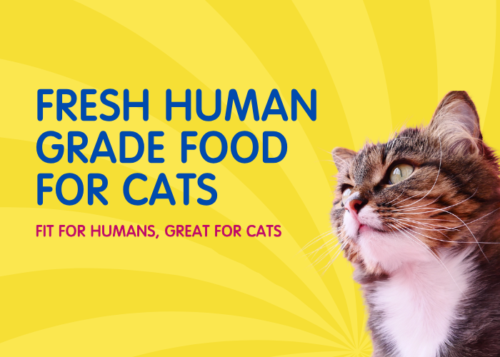 custom-slideshow-image-mobile-block_YPe7Rb