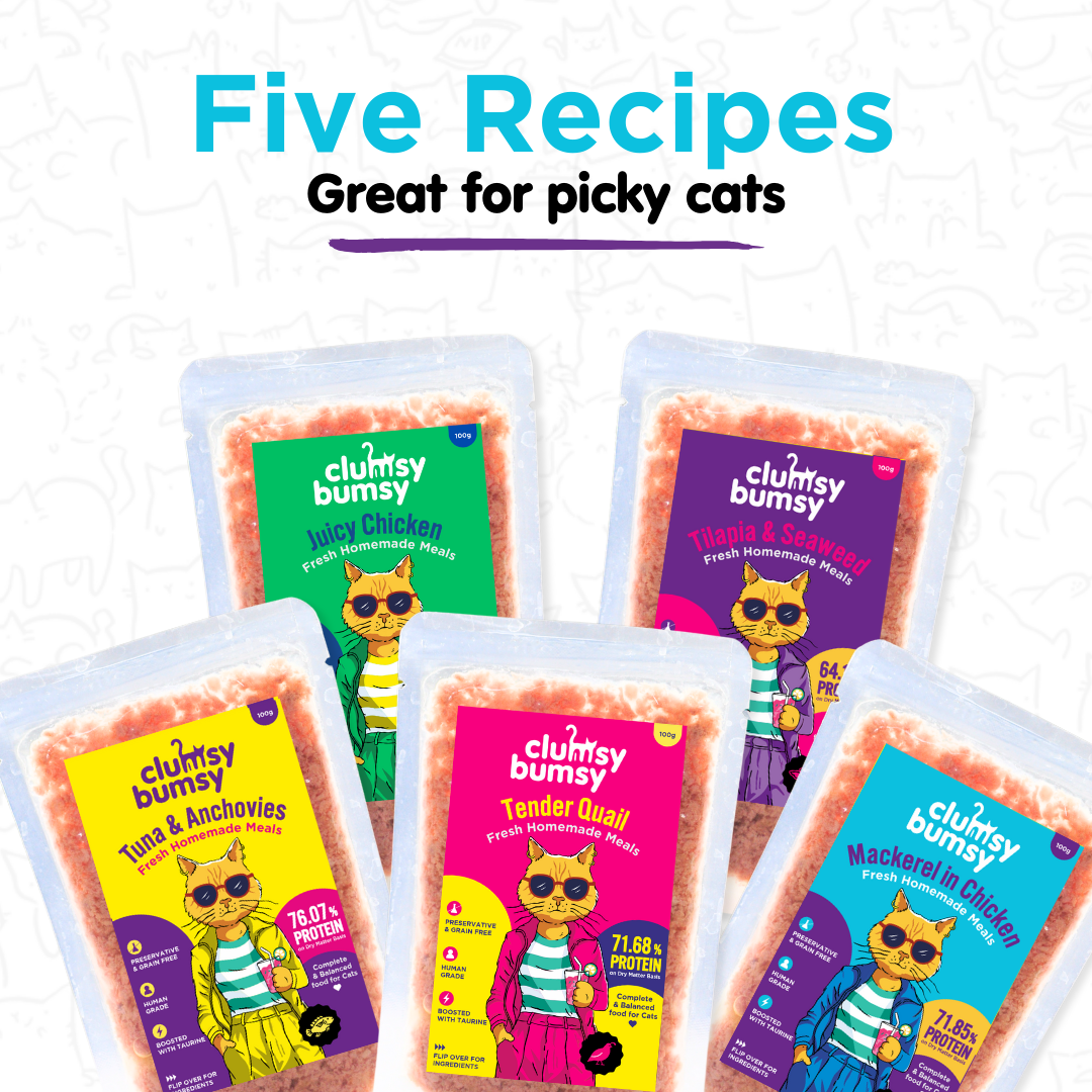 Mackerel in Chicken 100g for Cats