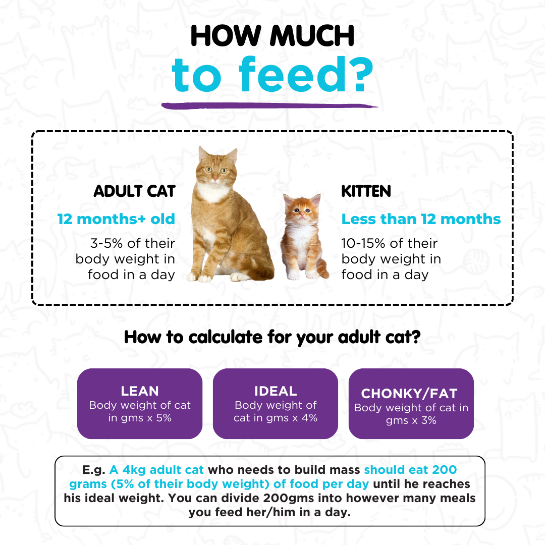Mackerel in Chicken 100g for Cats