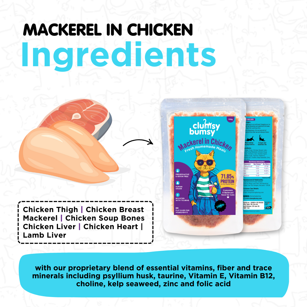 Mackerel in Chicken 100g for Cats