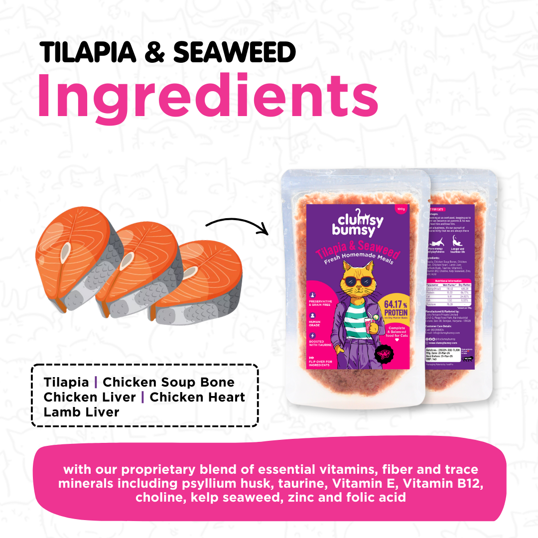 Tilapia & Seaweed 100g for Cats