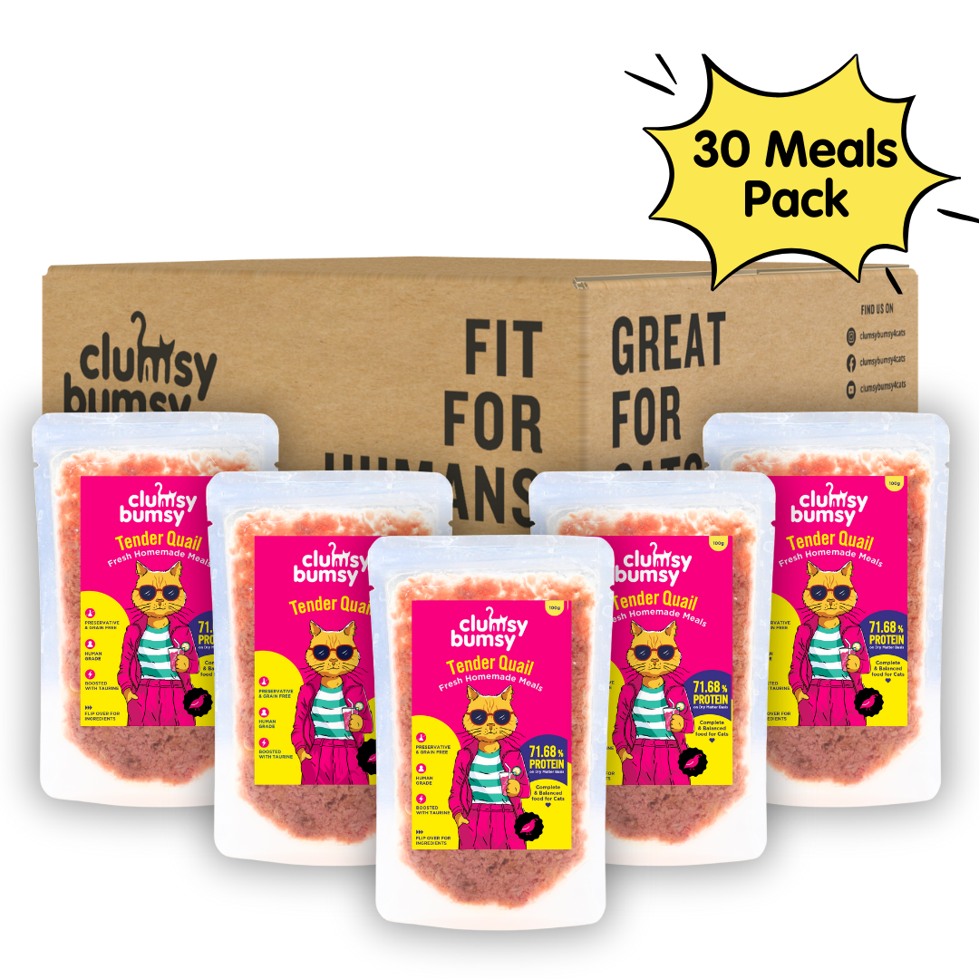 Tender Quail Fresh Meals for Cats (100g)