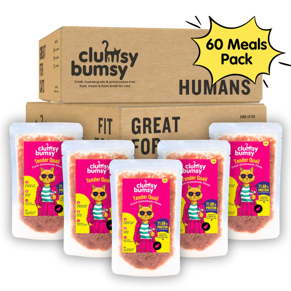 Monthly Pack of 60 meals - Fresh Food for Cats by Clumsy Bumsy