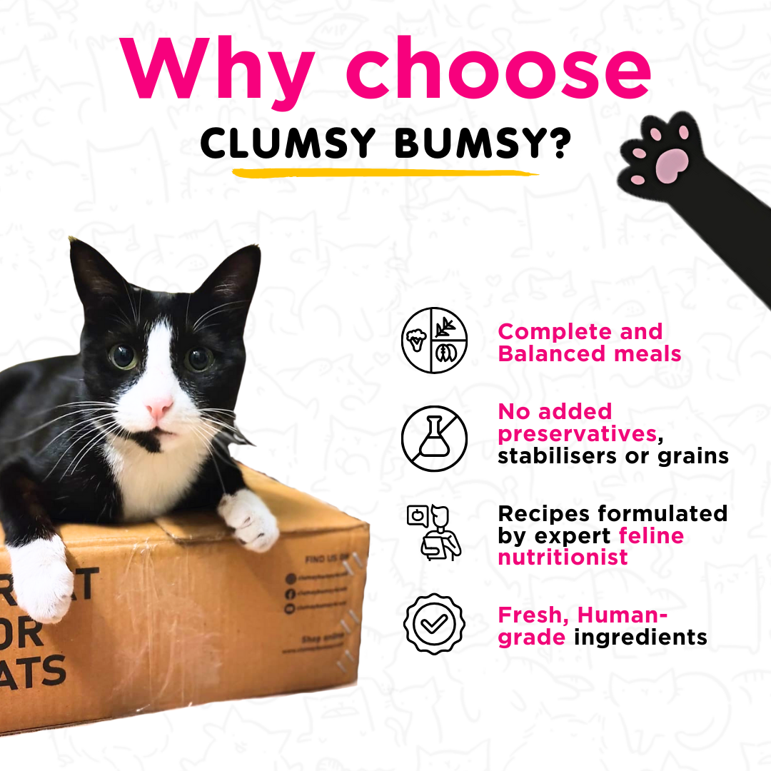 Tender Quail Fresh Meals for Cats (100g)