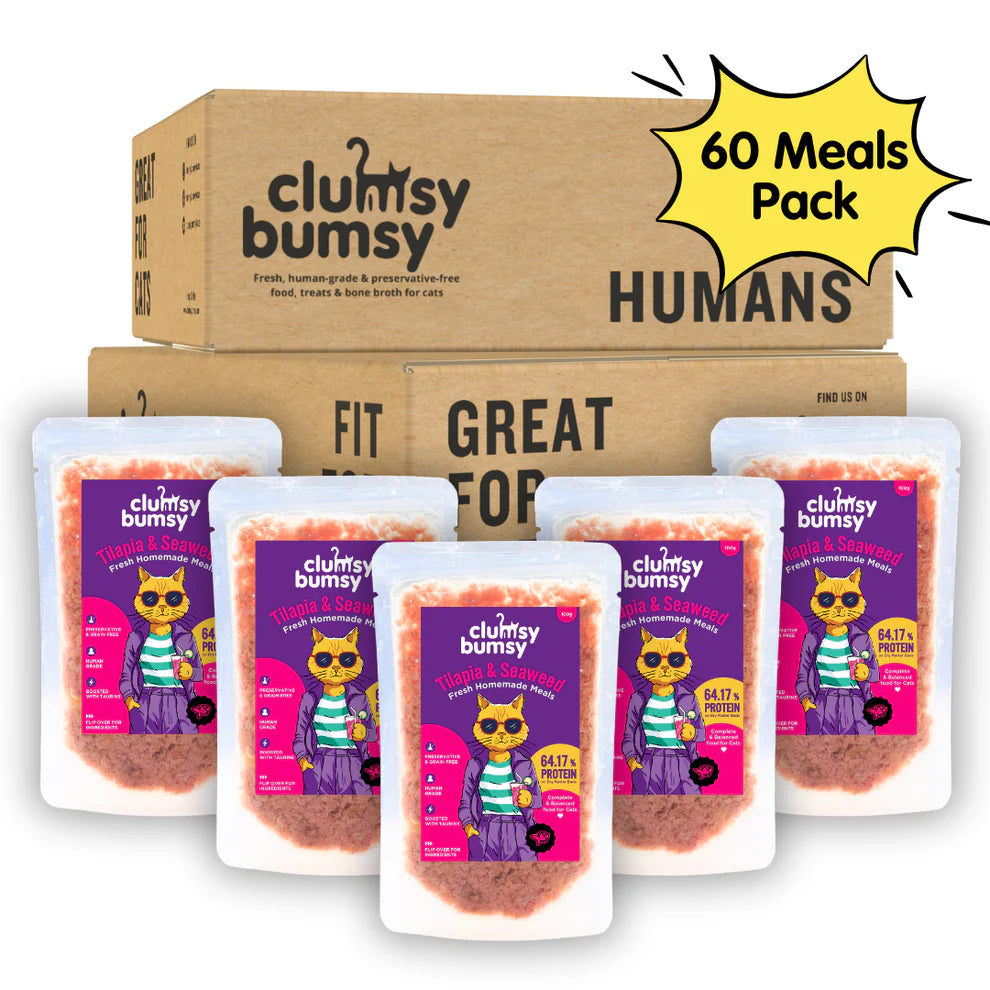 Monthly Pack of 60 meals - Fresh Food for Cats by Clumsy Bumsy