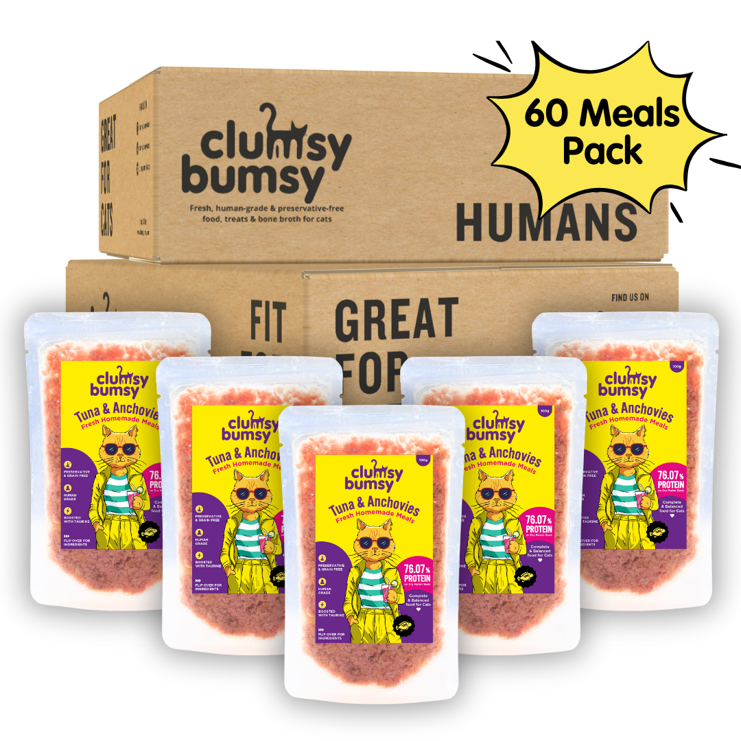 Tuna & Anchovies Fresh Meals for Cats (100g)