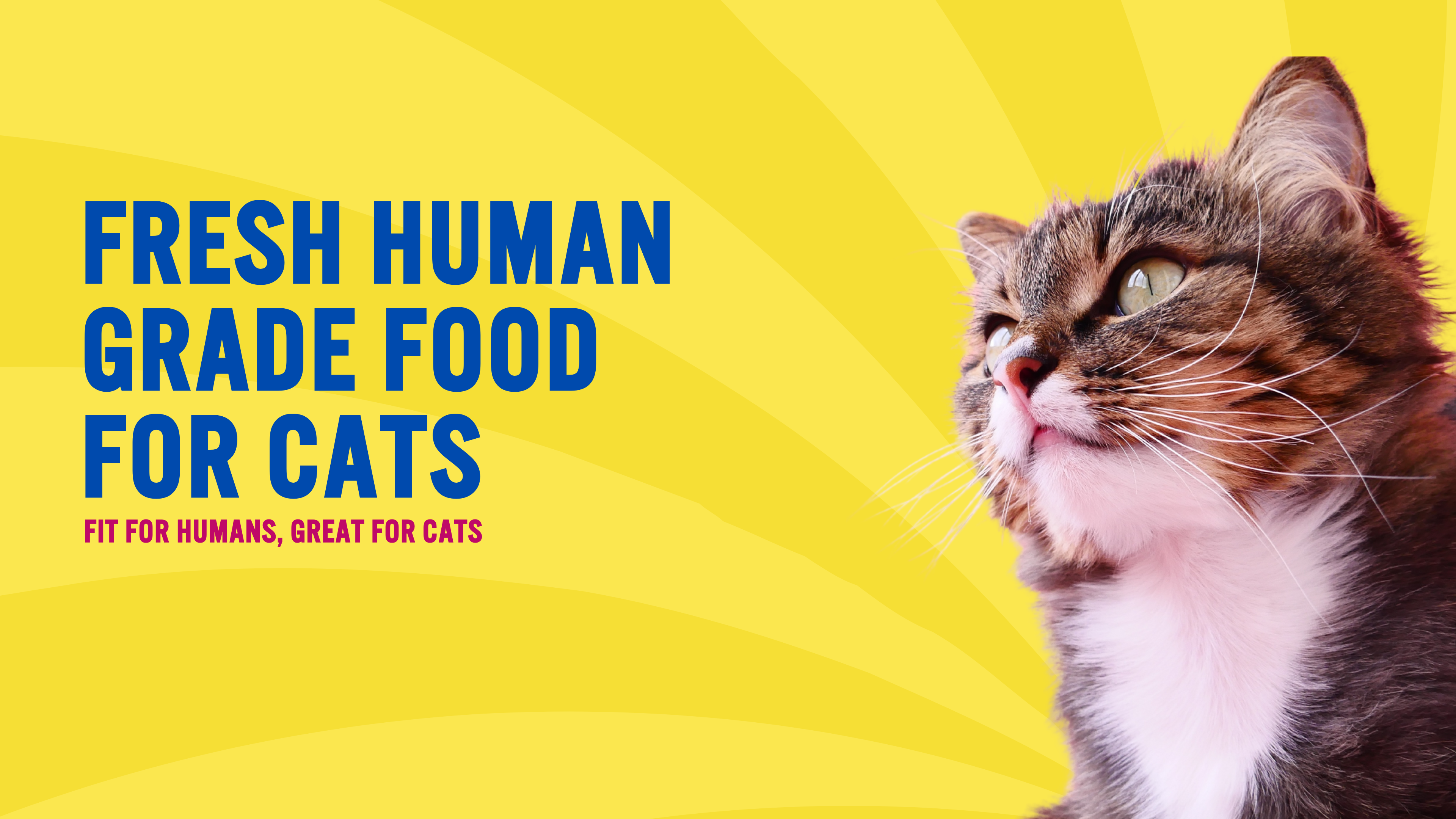 custom-slideshow-image-desktop-block_YPe7Rb