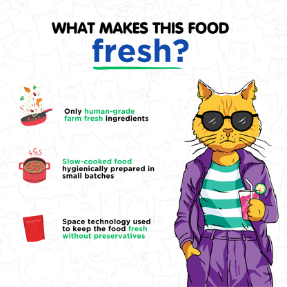 Juicy Chicken Fresh Meals for Cats (100g)