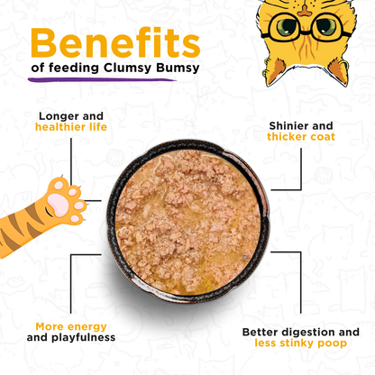 Fresh food Trial Pack for Cats