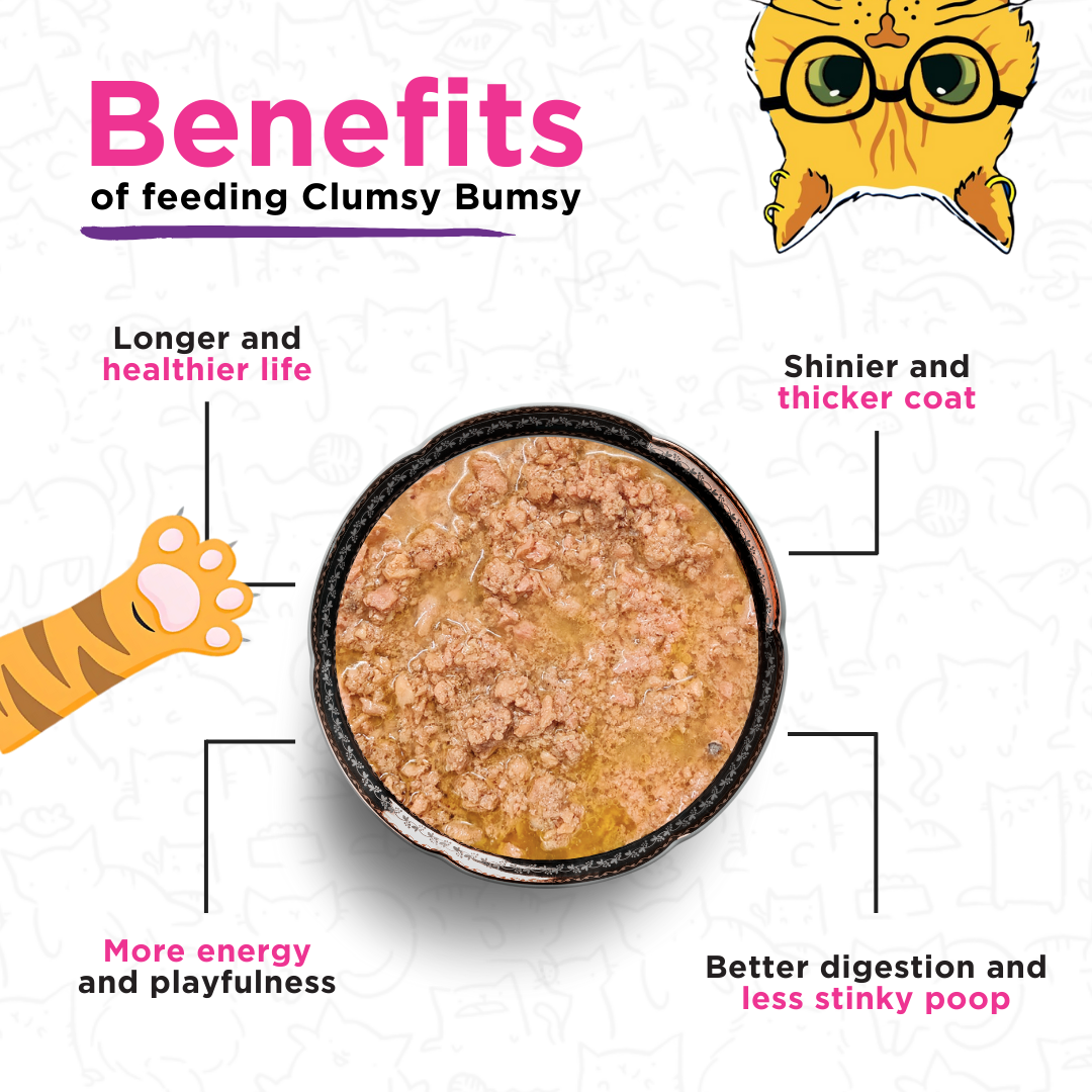 Tilapia & Seaweed 100g for Cats