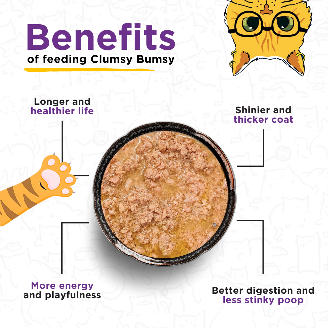 Tuna & Anchovies 100g for Cats