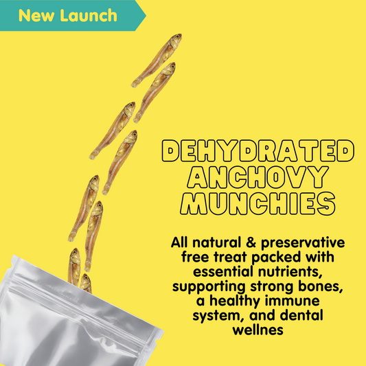 Dehydrated Anchovy Munchies Whole, 30g