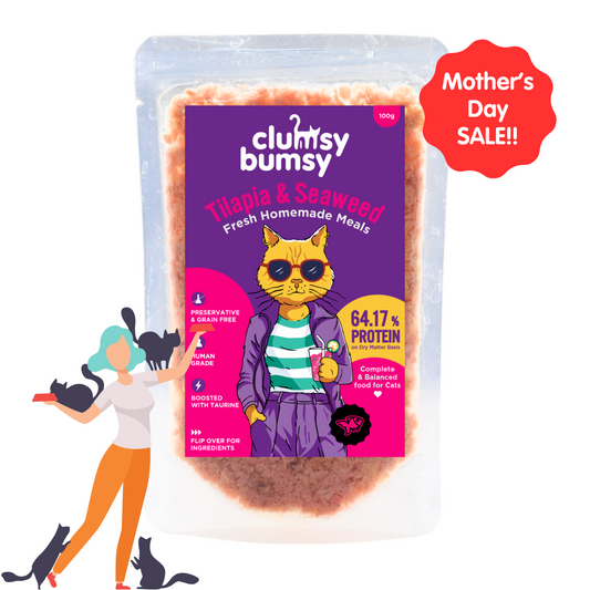 Tilapia & Seaweed starting @ Rs. 78 per pouch (~30% Off)