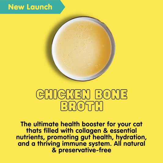 Gelatinous 24hr Chicken Bone Broth for cats, 100ml