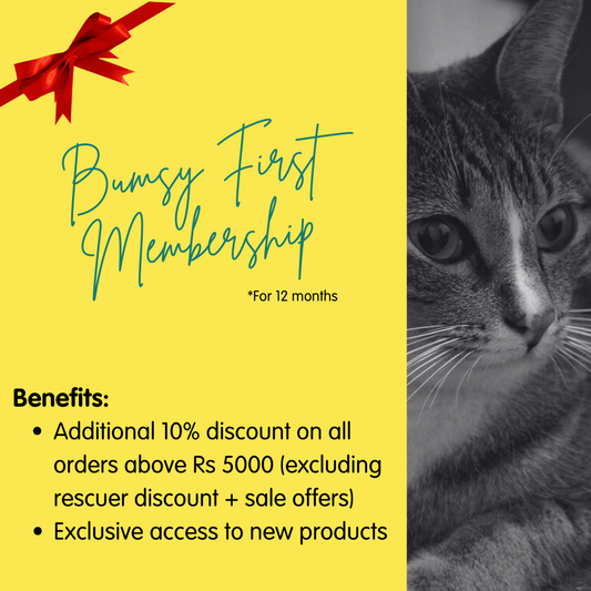 Bumsy First 12 Months Membership