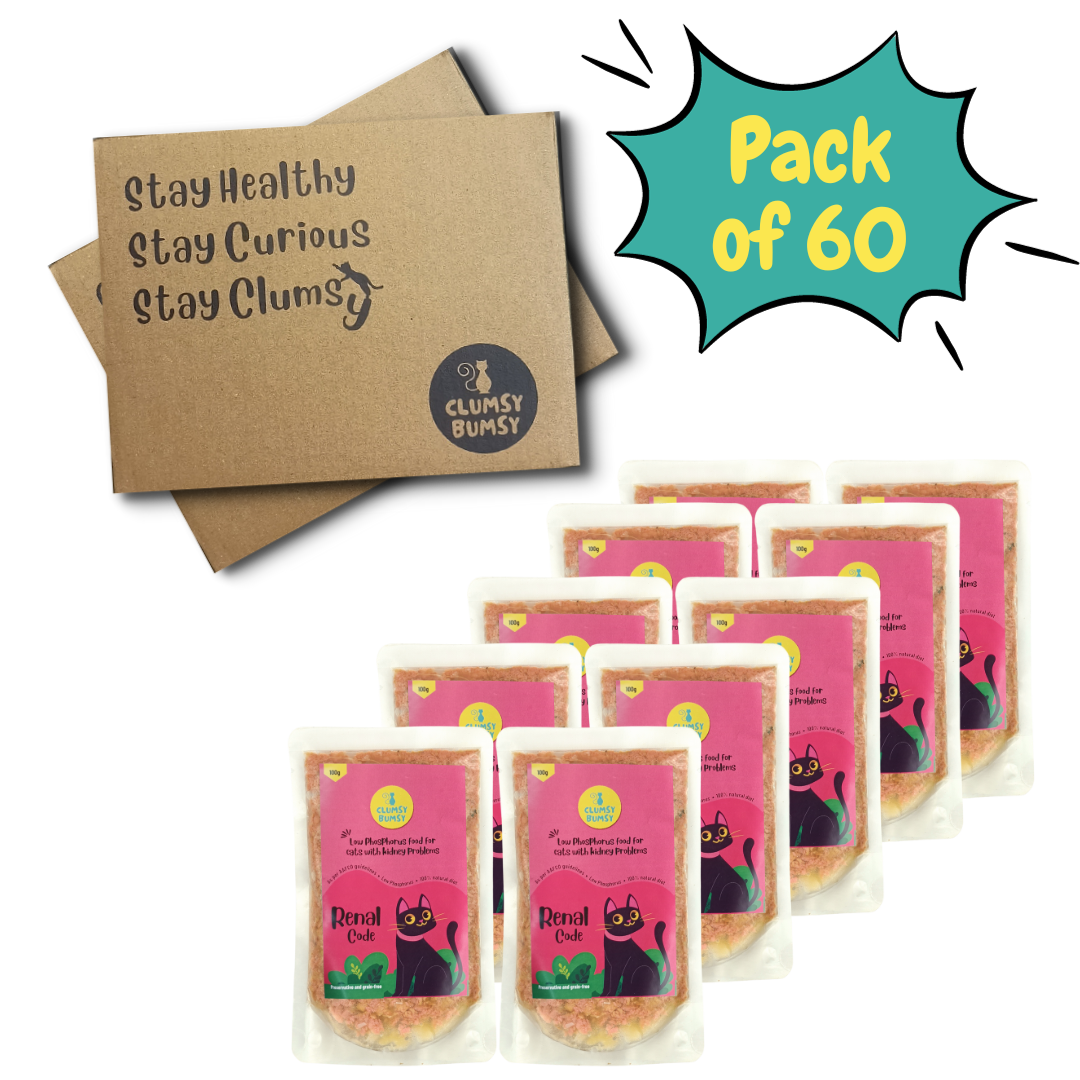 Renal Code 100g - Pack of 60 (10% Off)