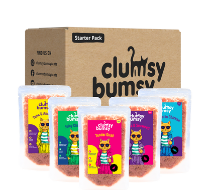 Fresh food Trial Pack for Cats