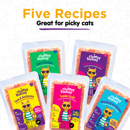 Fresh food Trial Pack for Cats