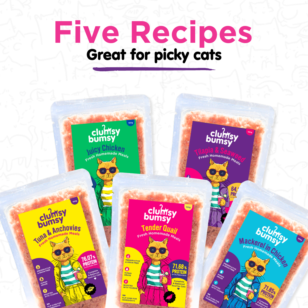 Tilapia & Seaweed 100g for Cats