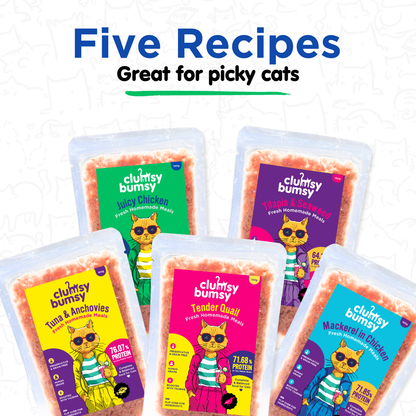 Juicy Chicken Fresh Meals for Cats (100g)
