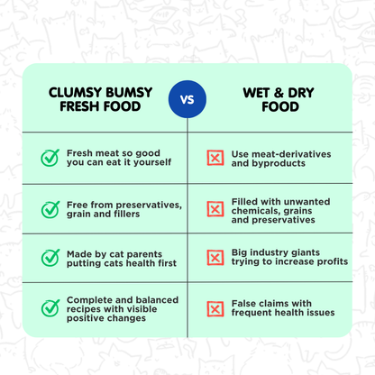 Juicy Chicken Fresh Meals for Cats (100g)