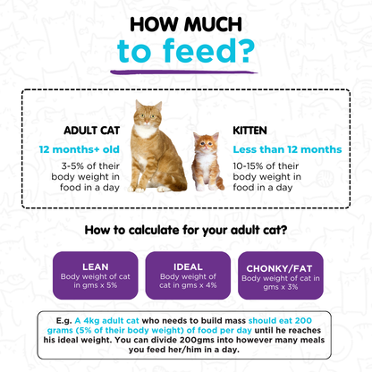 Mackerel in Chicken 100g for Cats