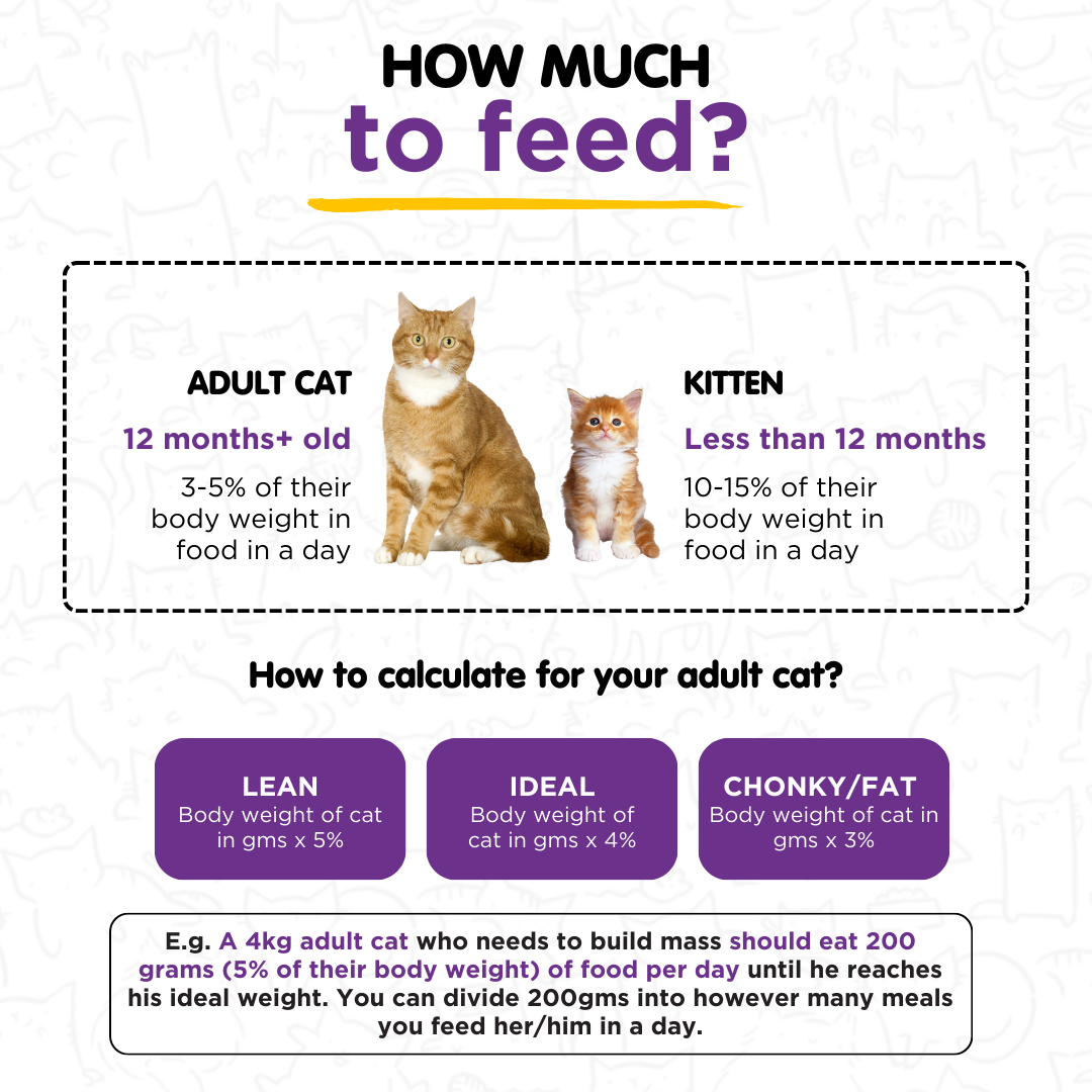 Tuna & Anchovies 100g for Cats