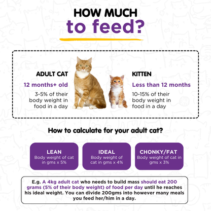 Tuna & Anchovies 100g for Cats