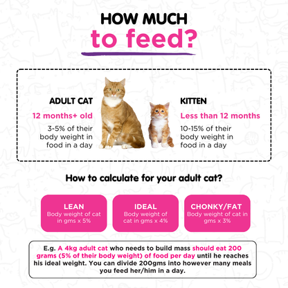 Tilapia & Seaweed 100g for Cats