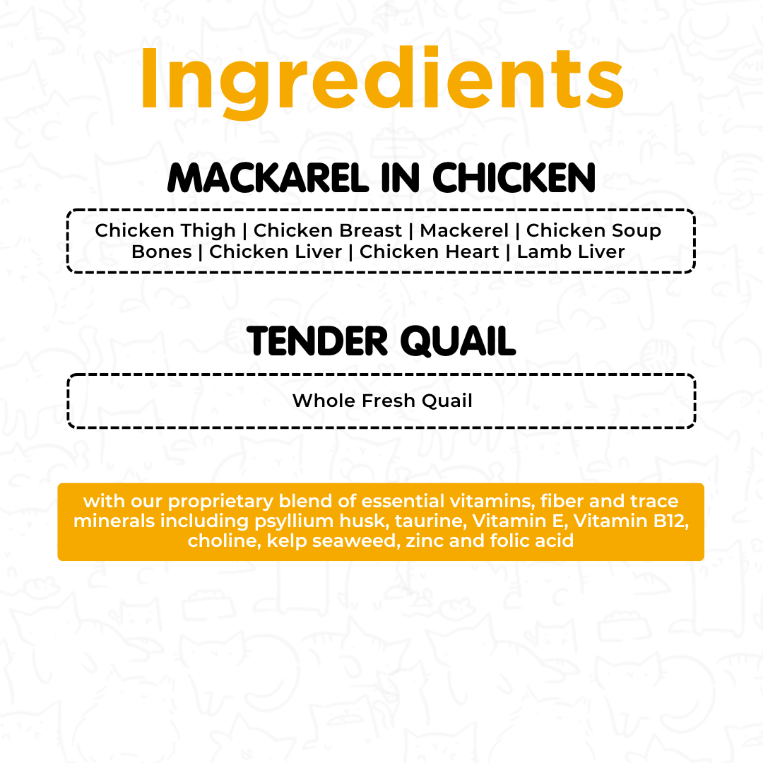 Fresh food Trial Pack for Cats