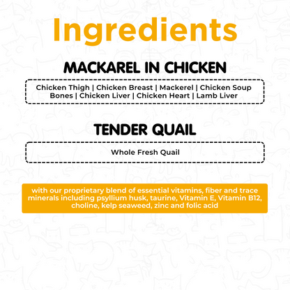 Fresh food Trial Pack for Cats