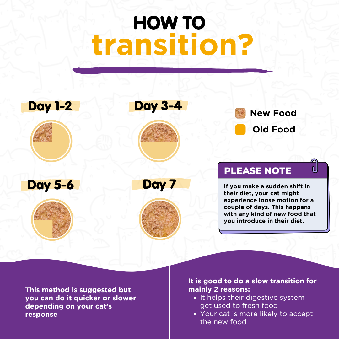 Fresh food Trial Pack for Cats