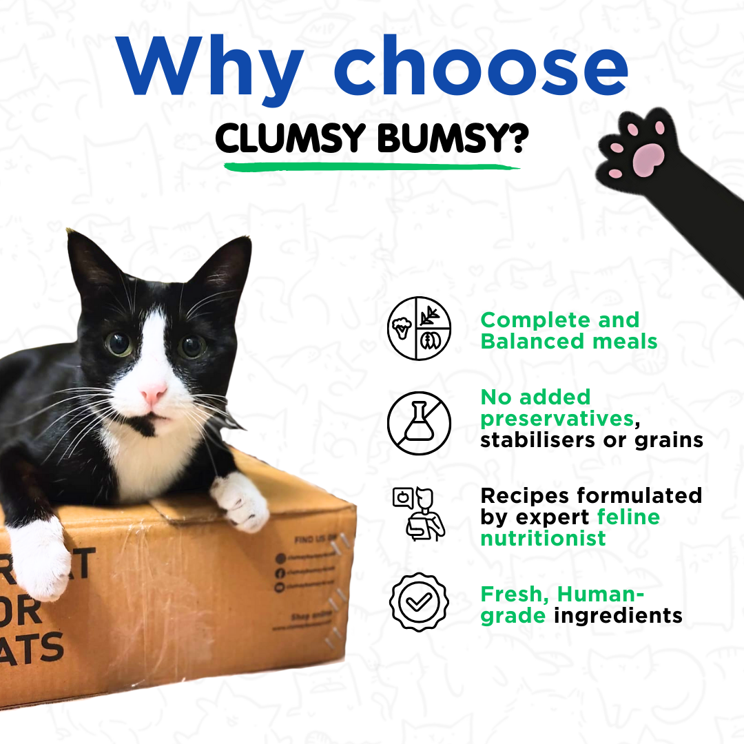 Juicy Chicken Fresh Meals for Cats (100g)