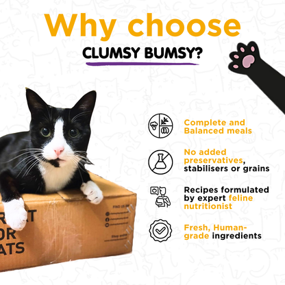 Fresh food Trial Pack for Cats