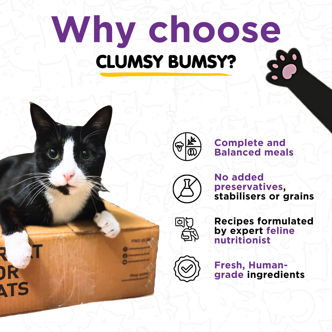 Tuna & Anchovies 100g for Cats