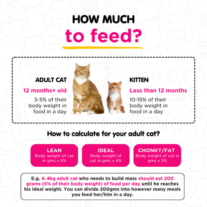 Tender Quail 100g for Cats