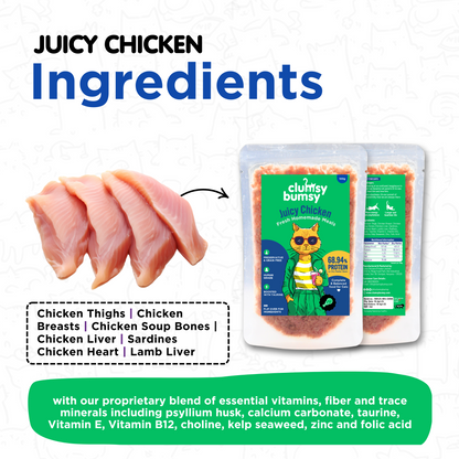 Juicy Chicken Fresh Meals for Cats (100g)