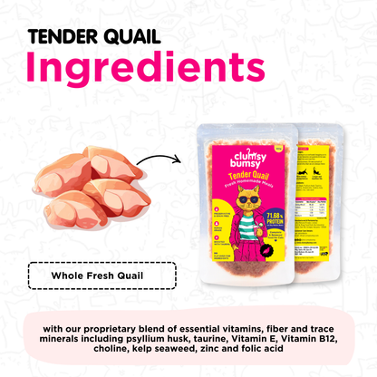 Tender Quail 100g for Cats