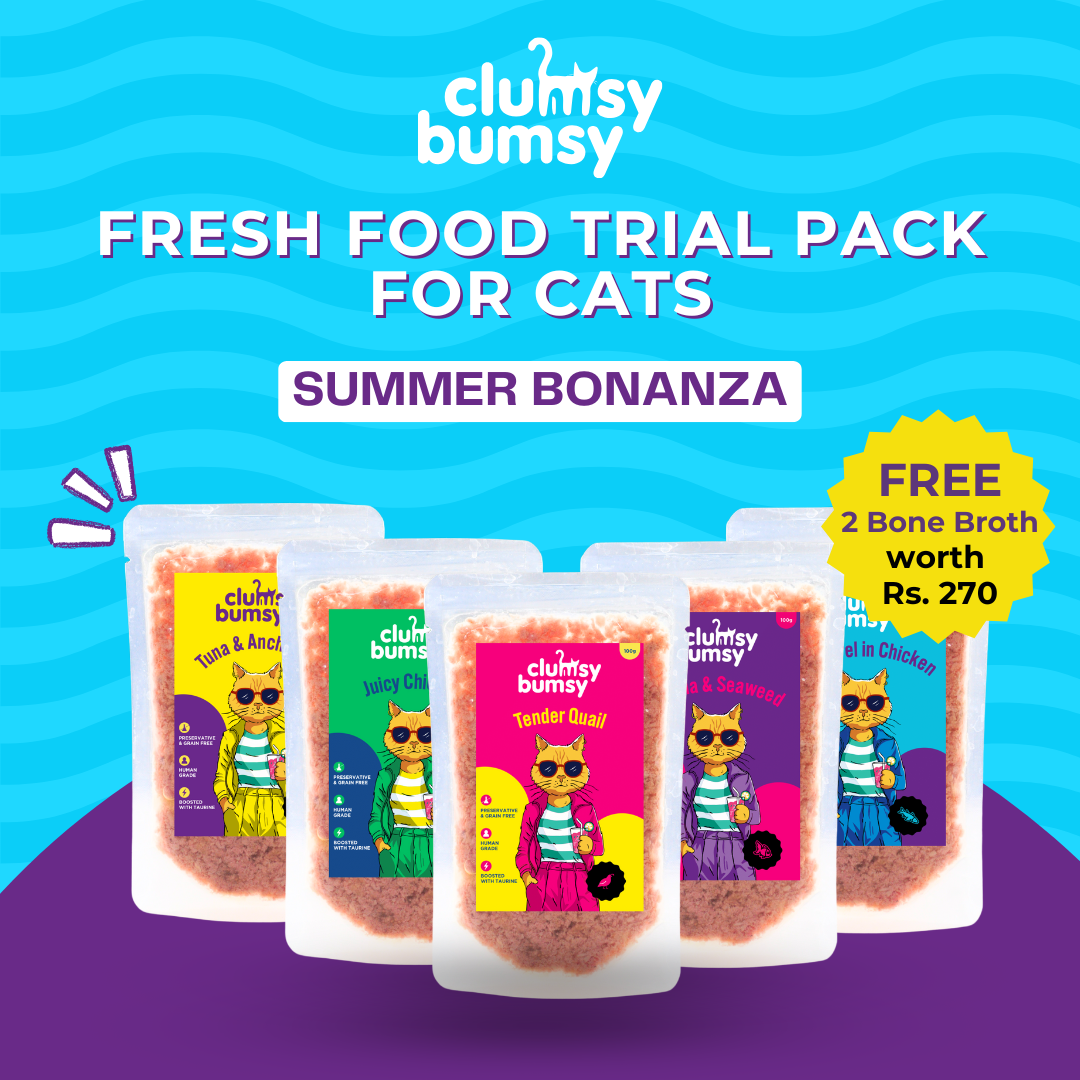 Fresh food Trial Pack for Cats